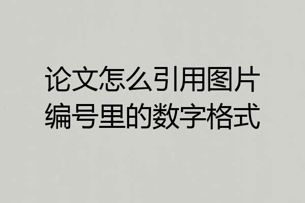 论文怎么引用图片编号里的数字格式
