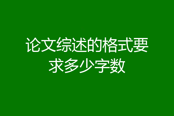 论文综述的格式要求多少字数