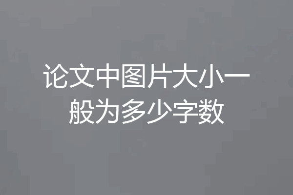 论文中图片大小一般为多少字数