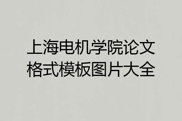 上海电机学院论文格式模板图片大全