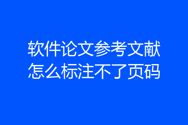 软件论文参考文献怎么标注不了页码