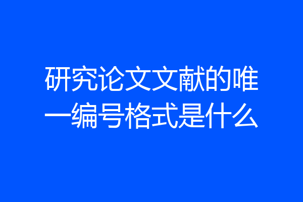 研究论文文献的唯一编号格式是什么