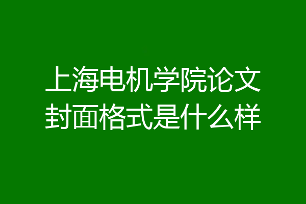 上海电机学院论文封面格式是什么样