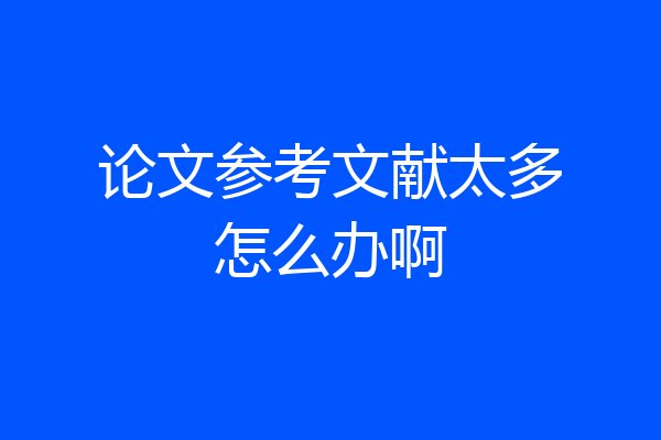 论文参考文献太多怎么办啊
