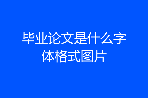 毕业论文是什么字体格式图片