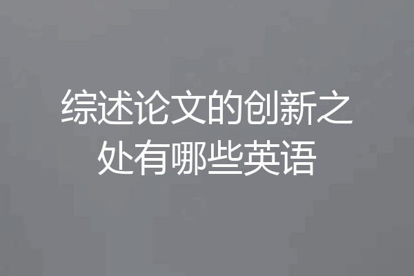 综述论文的创新之处有哪些英语