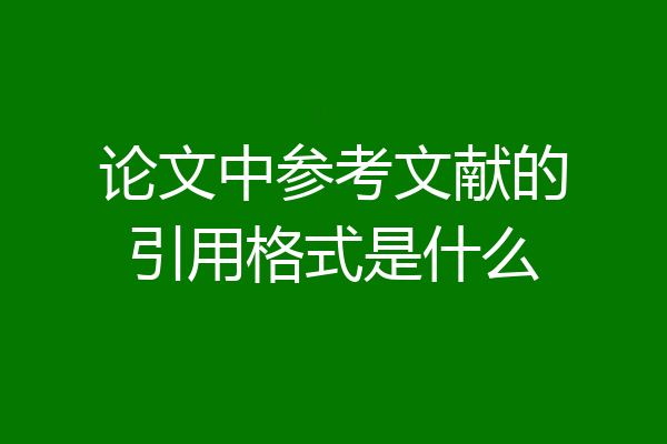论文中参考文献的引用格式是什么
