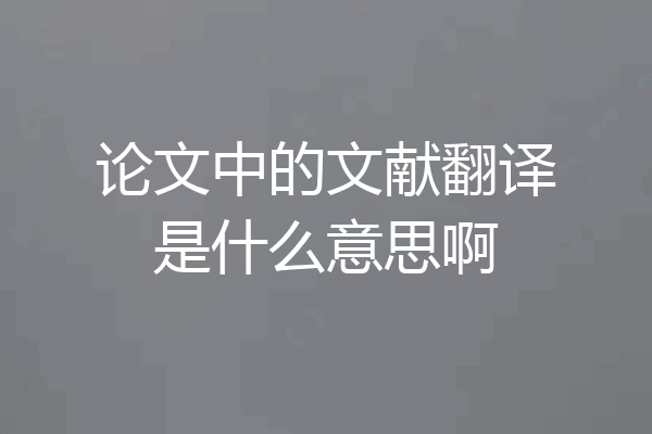 论文中的文献翻译是什么意思啊