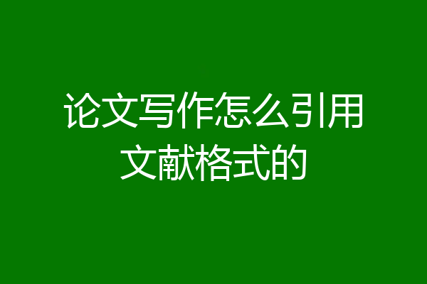 论文写作怎么引用文献格式的