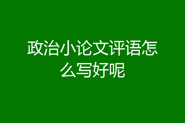 政治小论文评语怎么写好呢