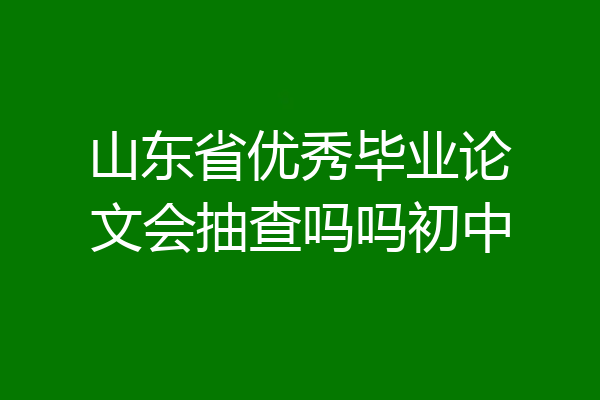 山东省优秀毕业论文会抽查吗吗初中