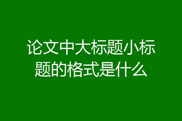 论文中大标题小标题的格式是什么