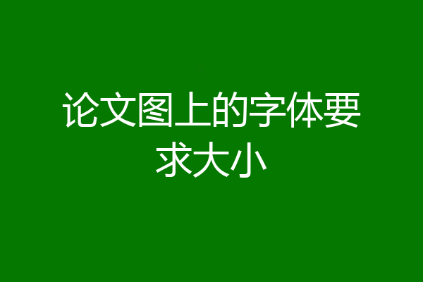 论文图上的字体要求大小