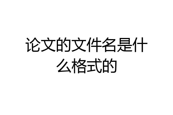 论文的文件名是什么格式的
