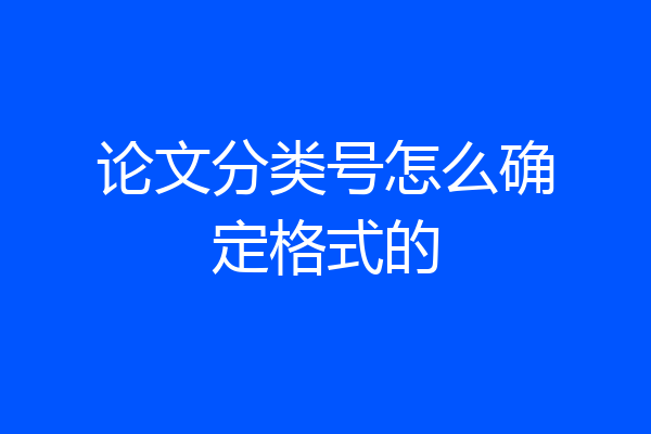 论文分类号怎么确定格式的