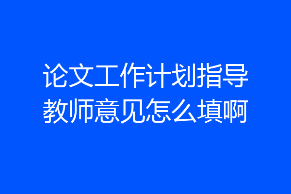 论文工作计划指导教师意见怎么填啊