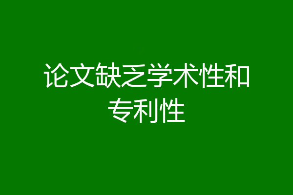 论文缺乏学术性和专利性