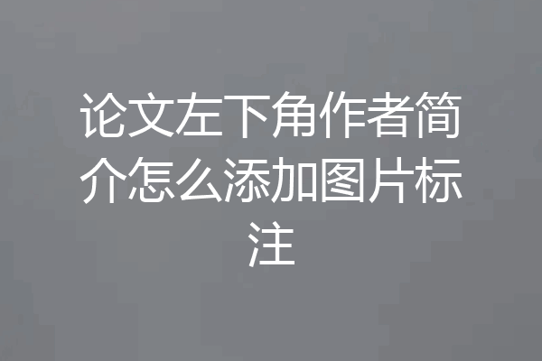 论文左下角作者简介怎么添加图片标注