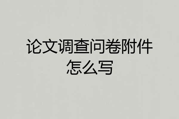 论文调查问卷附件怎么写