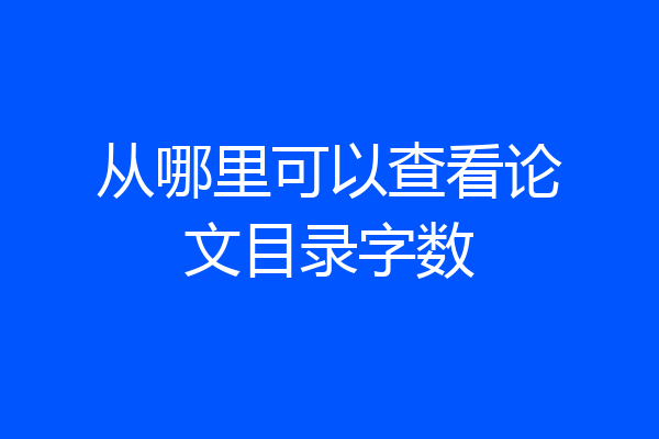 从哪里可以查看论文目录字数