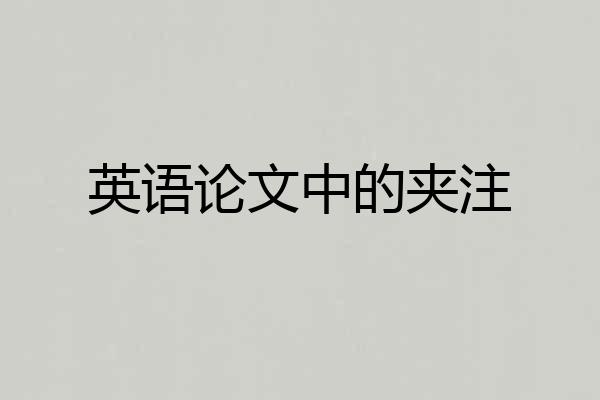 英语论文中的夹注