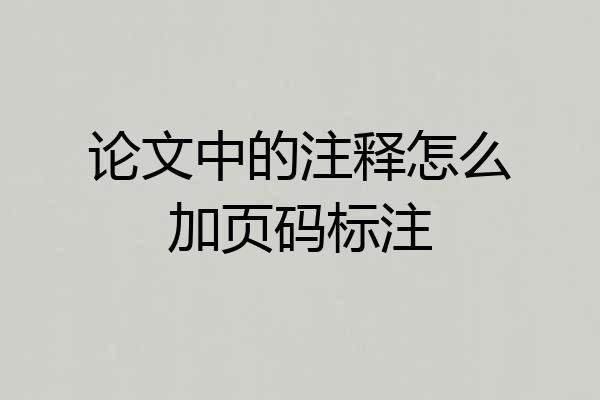 论文中的注释怎么加页码标注