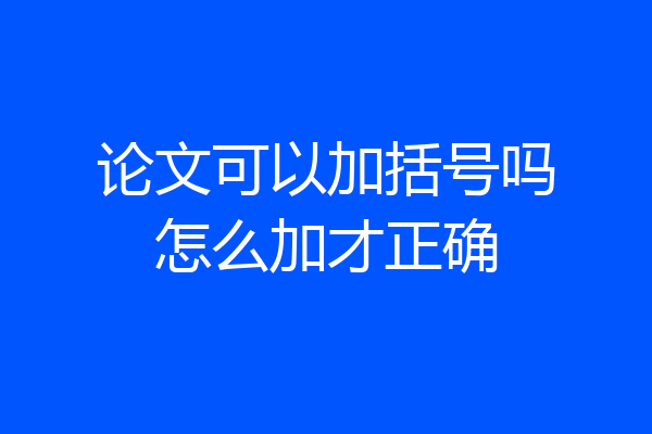 论文可以加括号吗怎么加才正确