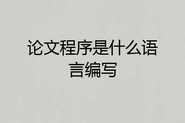 论文程序是什么语言编写