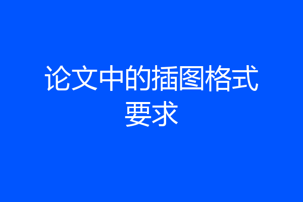 论文中的插图格式要求