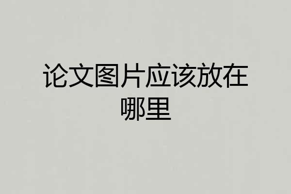 论文图片应该放在哪里