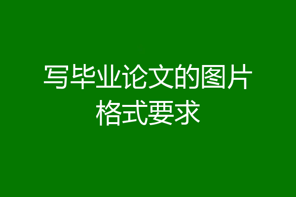 写毕业论文的图片格式要求