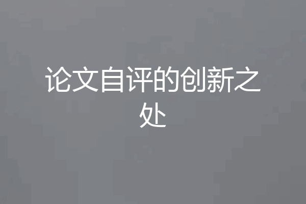 论文自评的创新之处