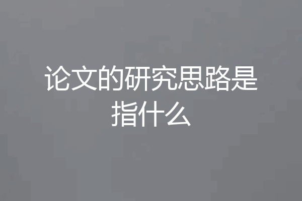 论文的研究思路是指什么
