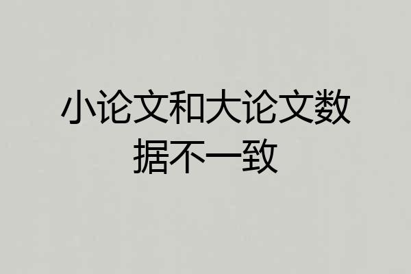 小论文和大论文数据不一致
