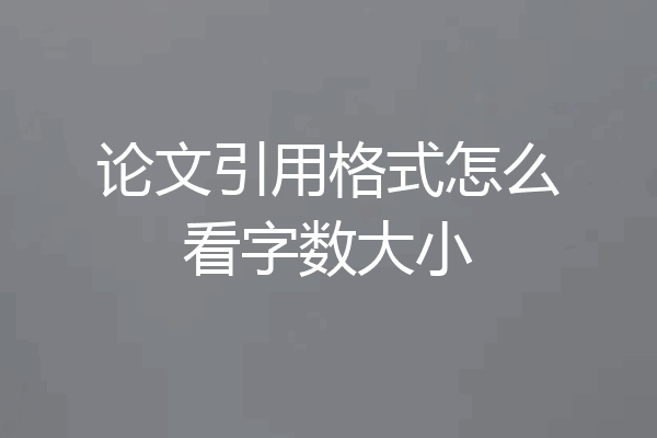 论文引用格式怎么看字数大小