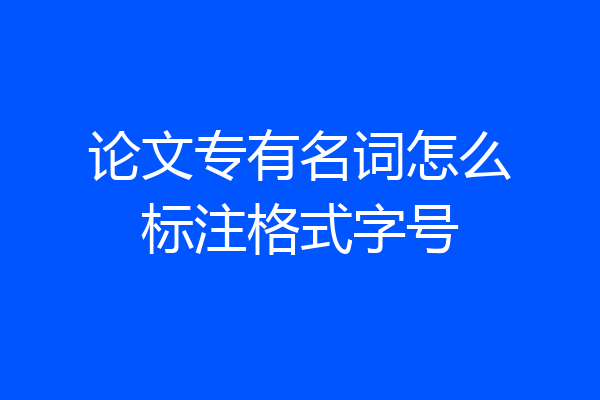 论文专有名词怎么标注格式字号