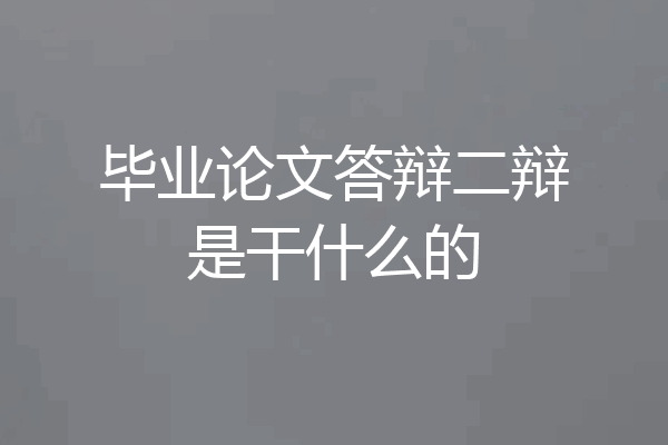 毕业论文答辩二辩是干什么的