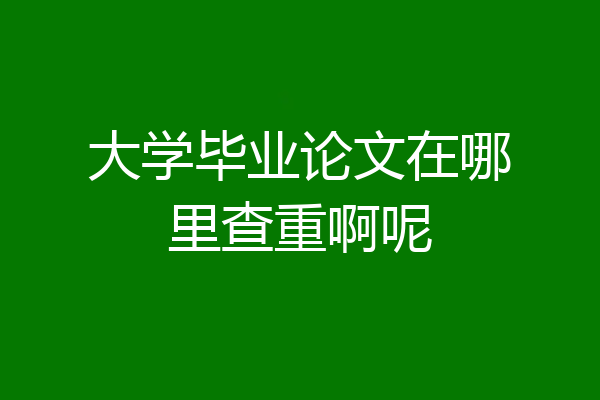 大学毕业论文在哪里查重啊呢