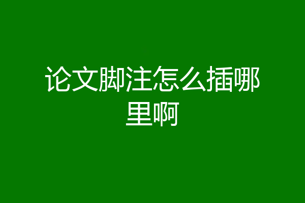 论文脚注怎么插哪里啊