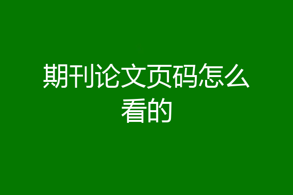 期刊论文页码怎么看的