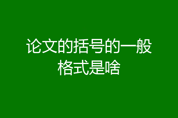 论文的括号的一般格式是啥