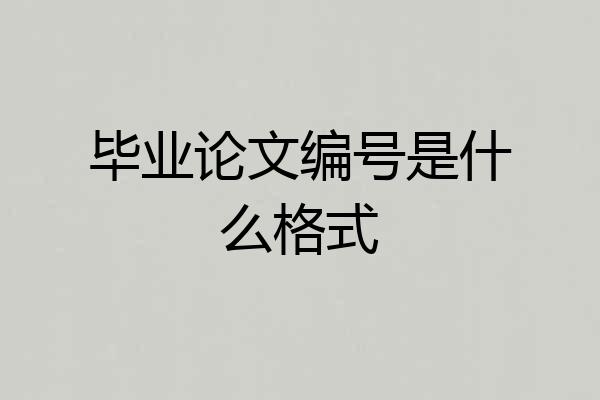 毕业论文编号是什么格式