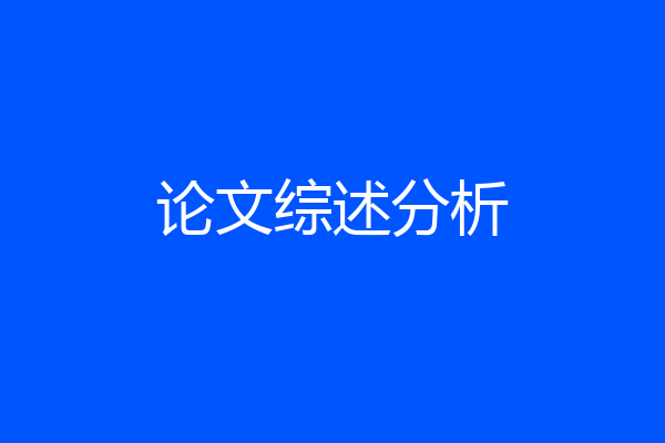 论文综述分析