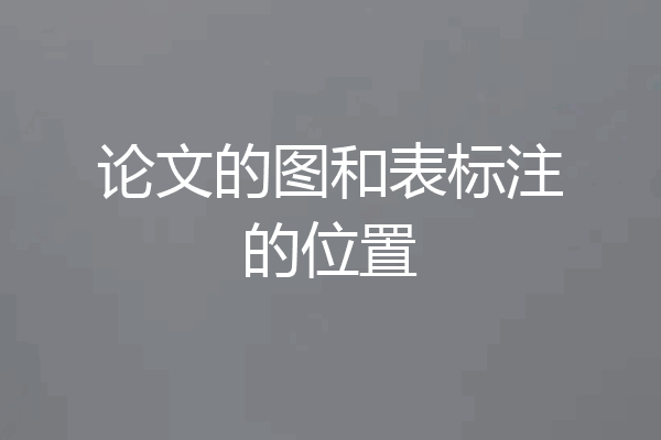 论文的图和表标注的位置
