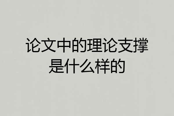 论文中的理论支撑是什么样的