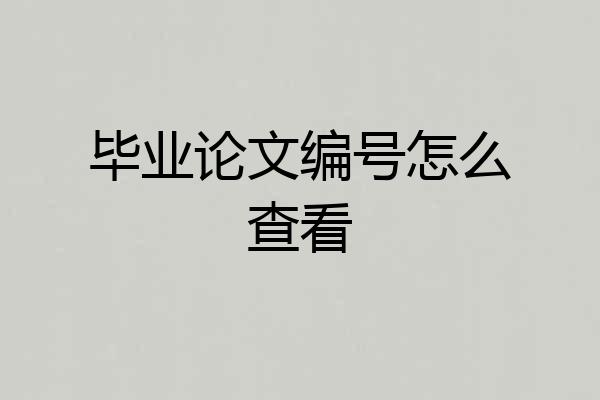毕业论文编号怎么查看