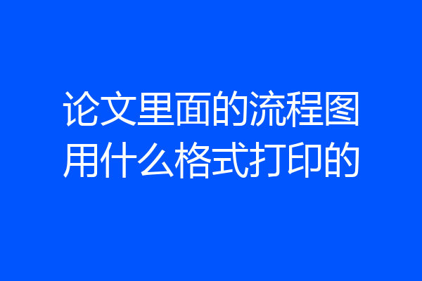论文里面的流程图用什么格式打印的