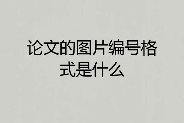 论文的图片编号格式是什么