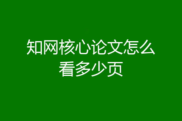 知网核心论文怎么看多少页