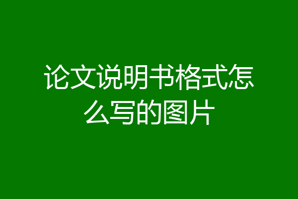 论文说明书格式怎么写的图片